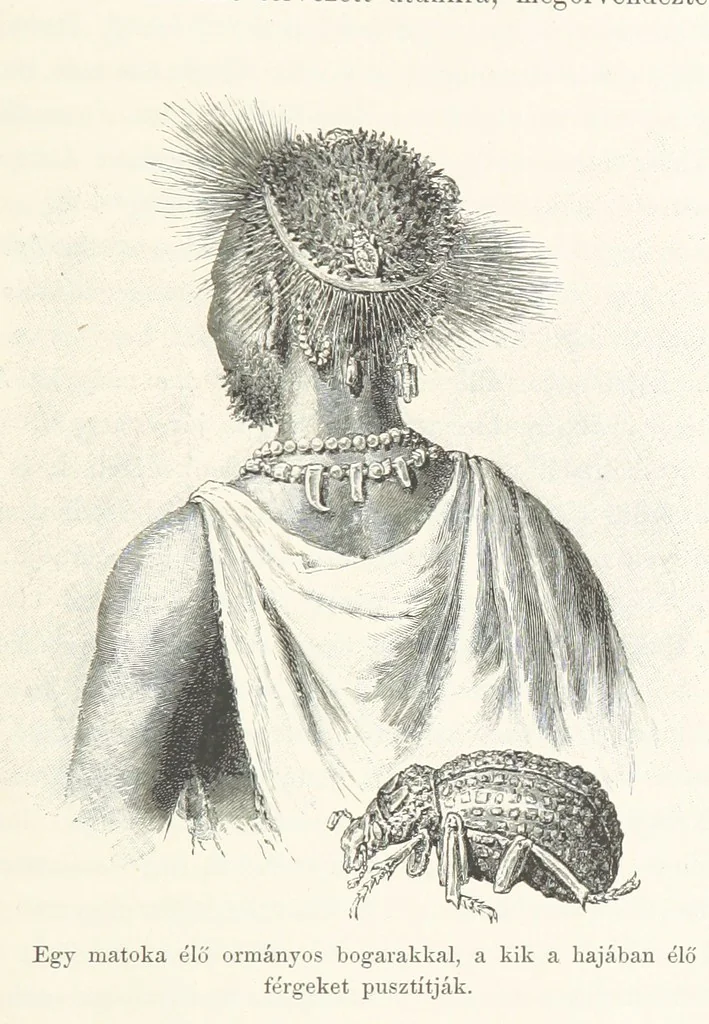 An illustration from A Fokvárostól a Masukulumbék országába, 1883-1887 ... Jogosított kiadás, ... 160 ... fametszettel és 2 térképpel, 1890, leaf 461