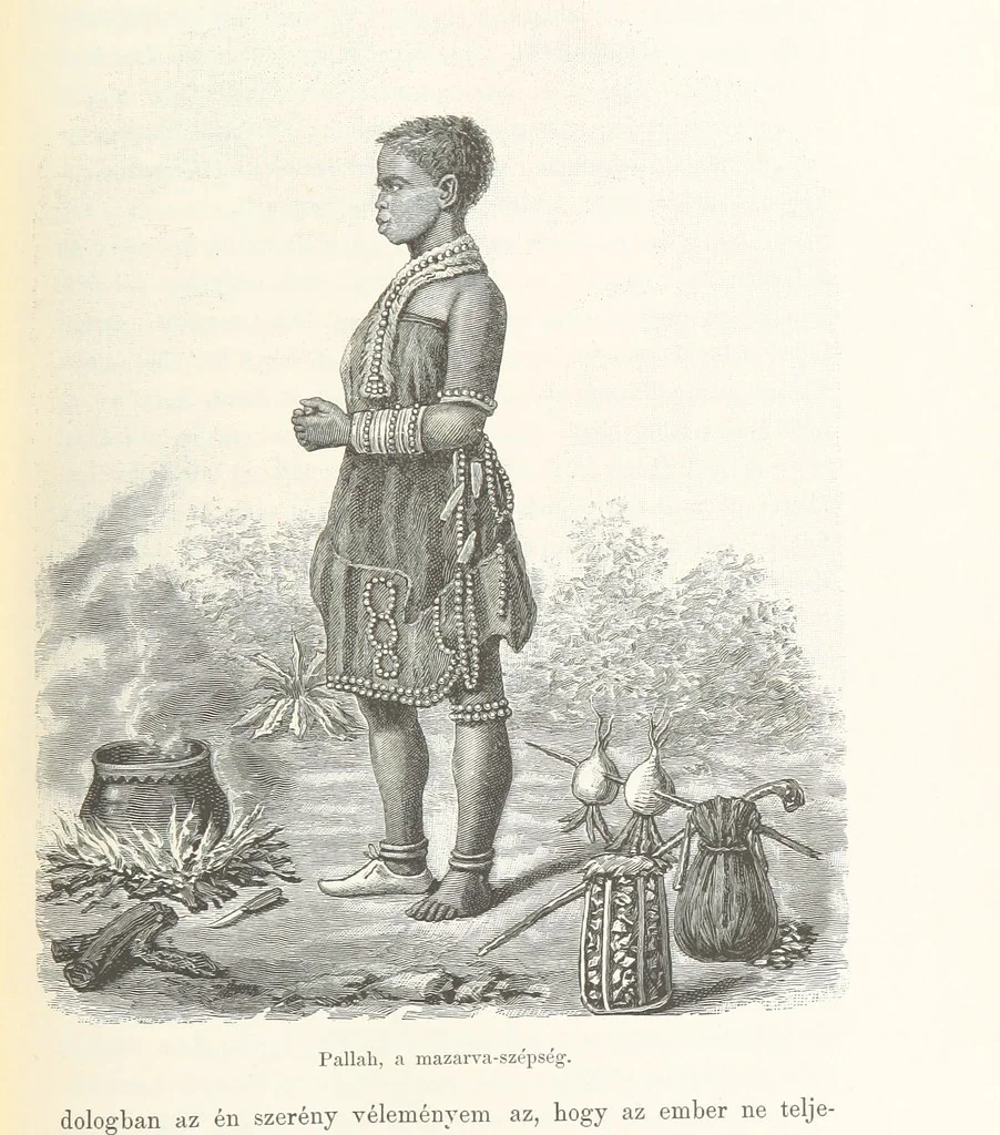 An illustration from A Fokvárostól a Masukulumbék országába, 1883-1887 ... Jogosított kiadás, ... 160 ... fametszettel és 2 térképpel, 1890, leaf 469