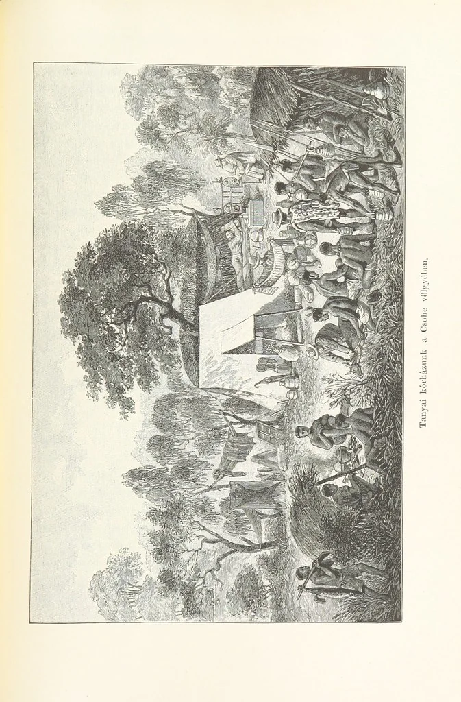 An illustration from A Fokvárostól a Masukulumbék országába, 1883-1887 ... Jogosított kiadás, ... 160 ... fametszettel és 2 térképpel, 1890, leaf 477