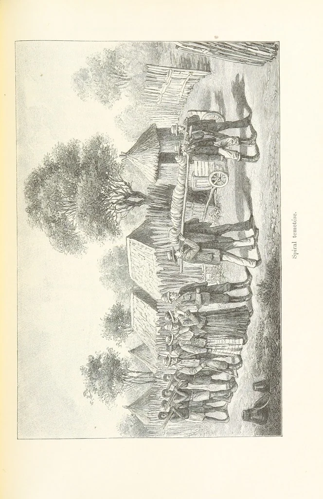 An illustration from A Fokvárostól a Masukulumbék országába, 1883-1887 ... Jogosított kiadás, ... 160 ... fametszettel és 2 térképpel, 1890, leaf 489