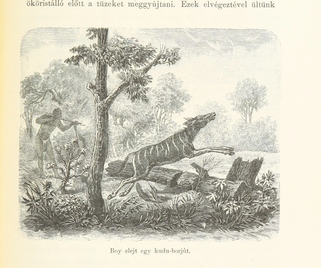 An illustration from A Fokvárostól a Masukulumbék országába, 1883-1887 ... Jogosított kiadás, ... 160 ... fametszettel és 2 térképpel, 1890, leaf 493