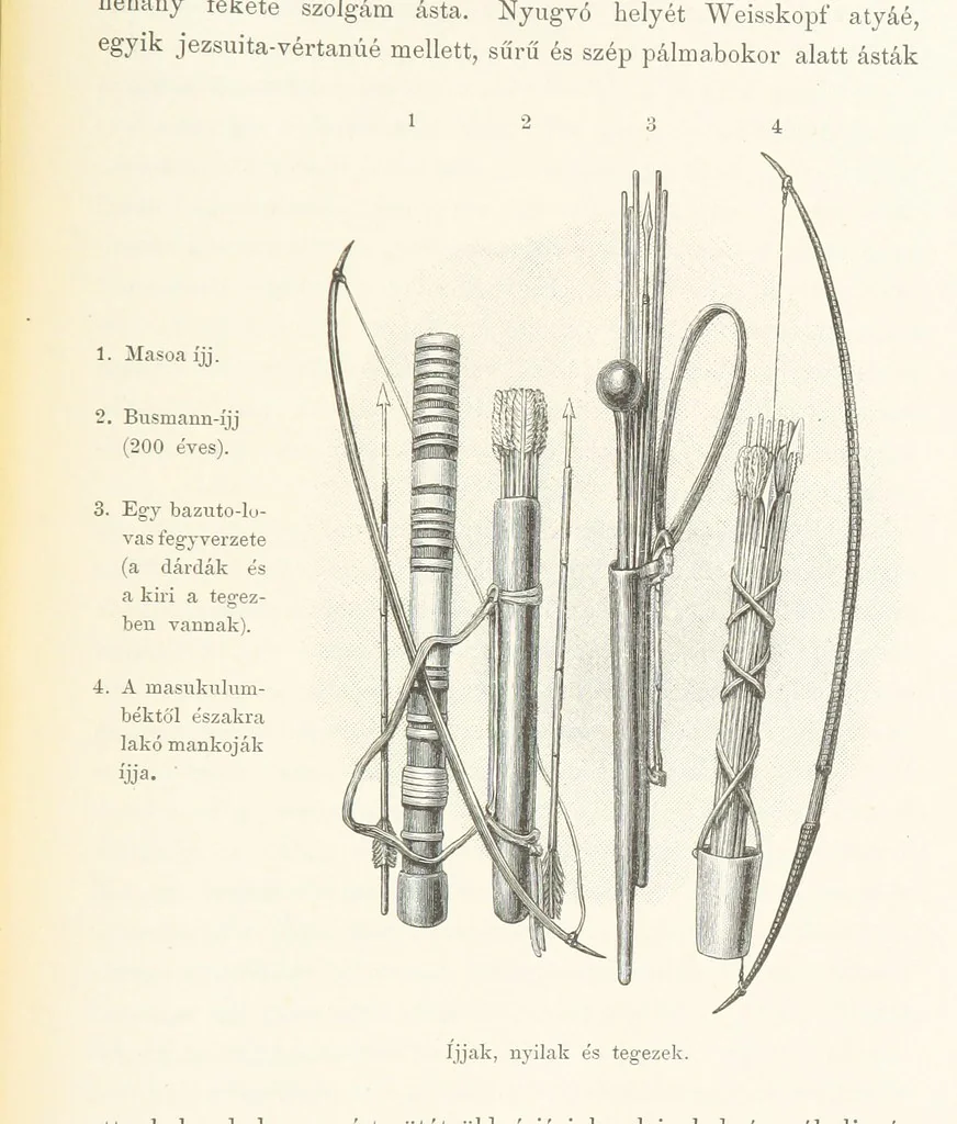 An illustration from A Fokvárostól a Masukulumbék országába, 1883-1887 ... Jogosított kiadás, ... 160 ... fametszettel és 2 térképpel, 1890, leaf 509