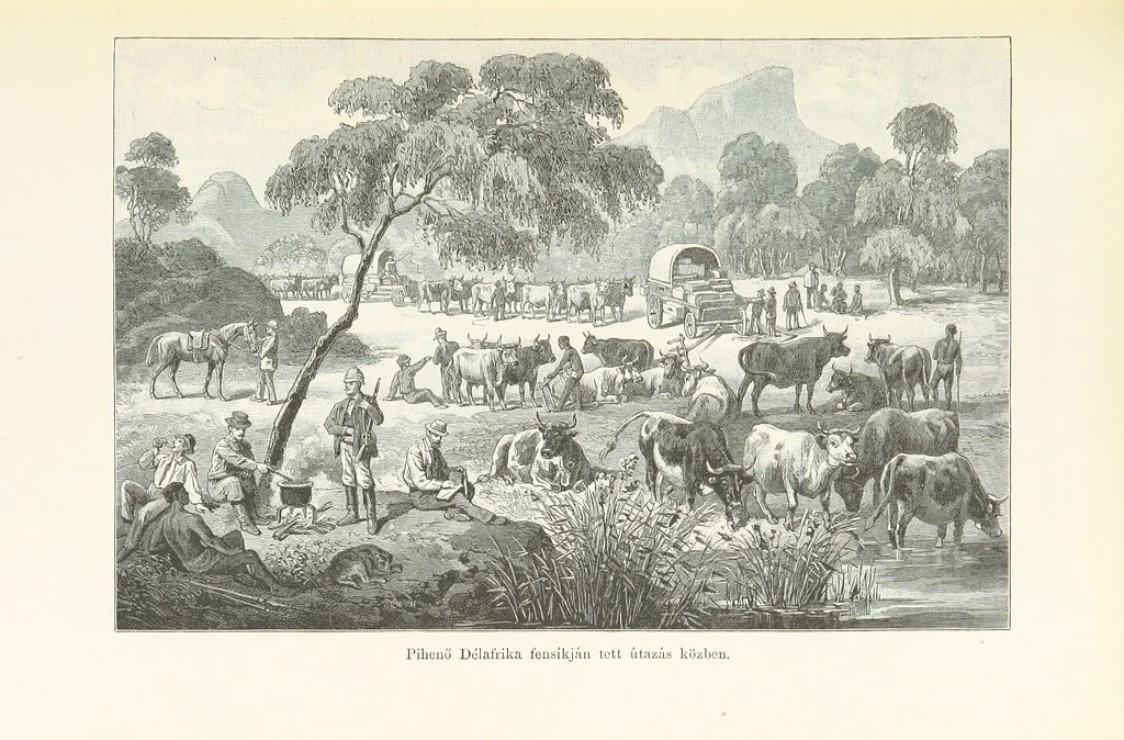 An illustration from A Fokvárostól a Masukulumbék országába, 1883-1887 ... Jogosított kiadás, ... 160 ... fametszettel és 2 térképpel, 1890, leaf 61