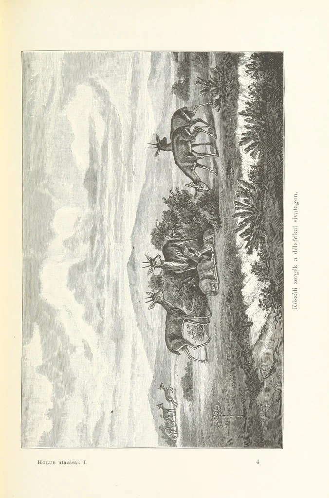An illustration from A Fokvárostól a Masukulumbék országába, 1883-1887 ... Jogosított kiadás, ... 160 ... fametszettel és 2 térképpel, 1890, leaf 69