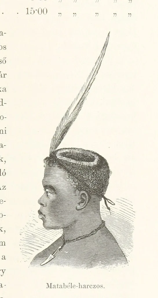 An illustration from A Fokvárostól a Masukulumbék országába, 1883-1887 ... Jogosított kiadás, ... 160 ... fametszettel és 2 térképpel, 1890, leaf 85