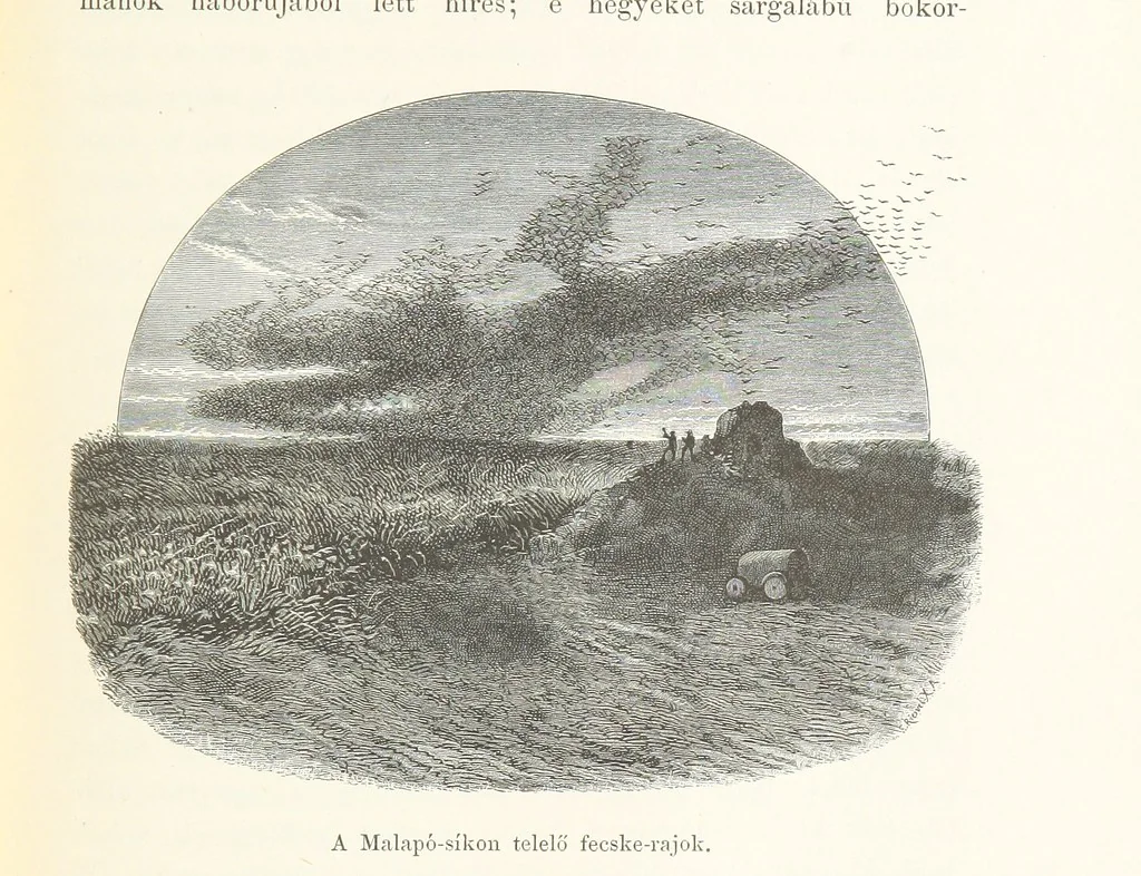 An illustration from A Fokvárostól a Masukulumbék országába, 1883-1887 ... Jogosított kiadás, ... 160 ... fametszettel és 2 térképpel, 1890, leaf 89