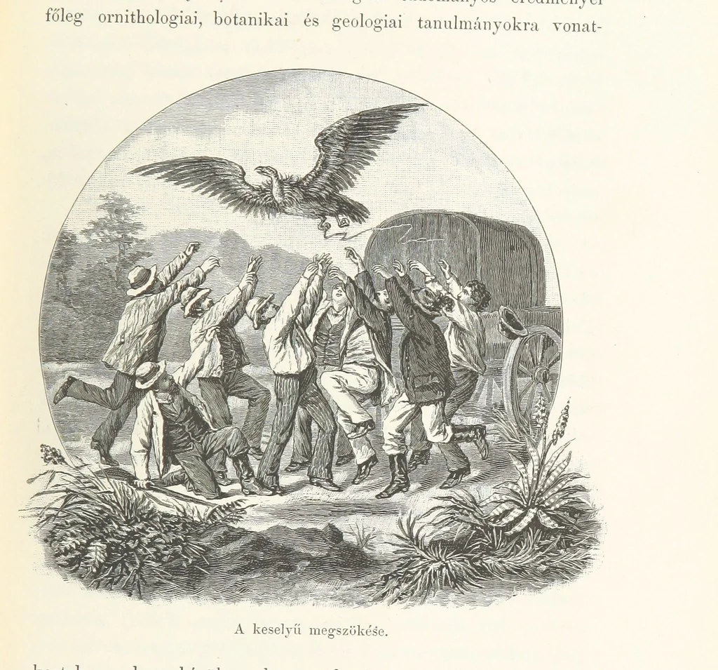 An illustration from A Fokvárostól a Masukulumbék országába, 1883-1887 ... Jogosított kiadás, ... 160 ... fametszettel és 2 térképpel, 1890, leaf 93