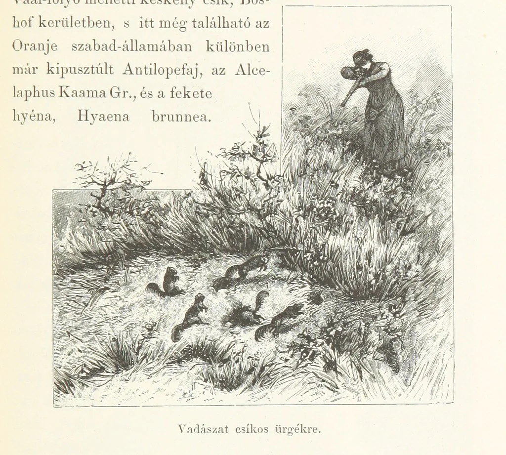 An illustration from A Fokvárostól a Masukulumbék országába, 1883-1887 ... Jogosított kiadás, ... 160 ... fametszettel és 2 térképpel, 1890, leaf 99