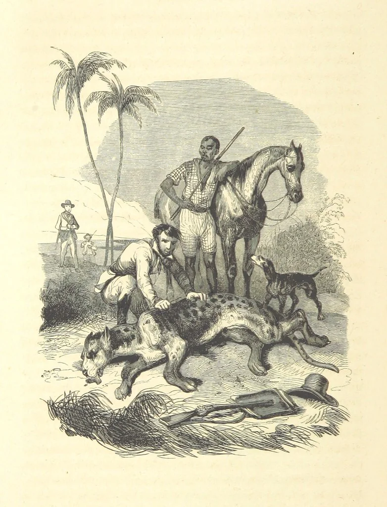 An illustration from Aventures les plus curieuses des voyageurs. Coup d'œil autour du monde, d'après les relations anciennes et modernes ... par M. Hombron. Ouvrage imité des Aventures des voyageurs par P. Blanchard, 1847, leaf 302