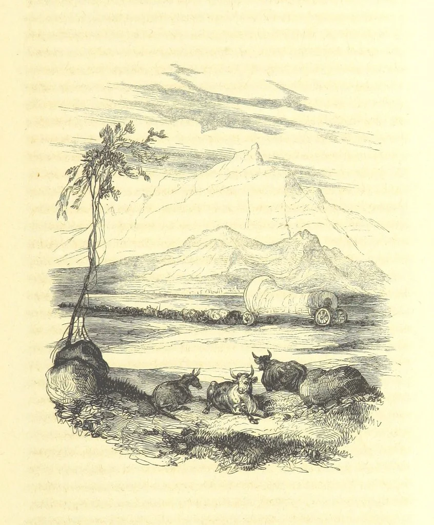 An illustration from Aventures les plus curieuses des voyageurs. Coup d'œil autour du monde, d'après les relations anciennes et modernes ... par M. Hombron. Ouvrage imité des Aventures des voyageurs par P. Blanchard, 1847, leaf 343