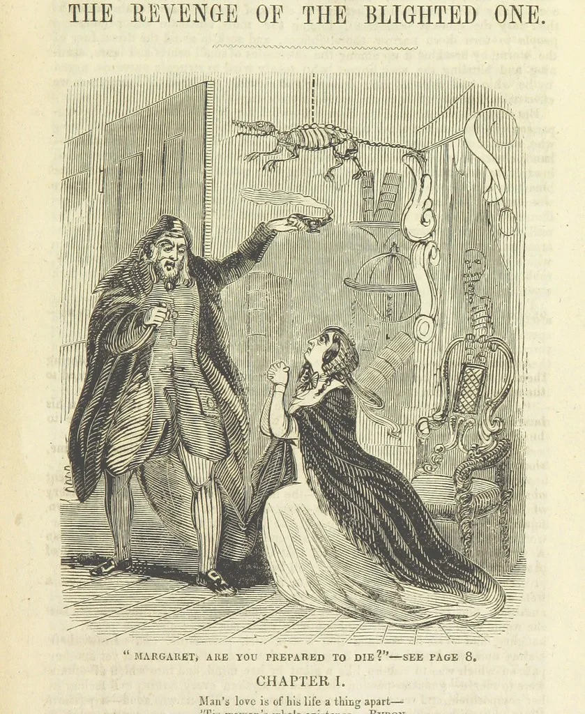 An illustration from Alice Home; or, the revenge of the blighted one ... A romance, 1848, leaf 9
