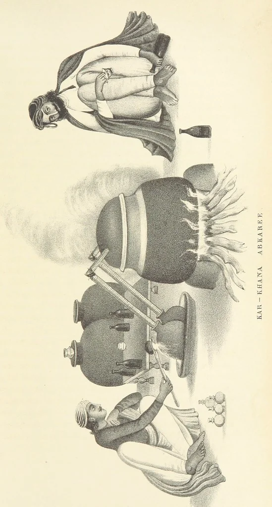 An illustration from Thirty-five years in the East. Adventures, discoveries, experiments, and historical sketches, relating to the Punjab and Cashmere, 1852, leaf 229