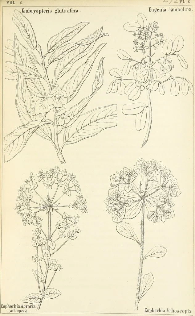 An illustration from Thirty-five years in the East. Adventures, discoveries, experiments, and historical sketches, relating to the Punjab and Cashmere, 1852, leaf 583