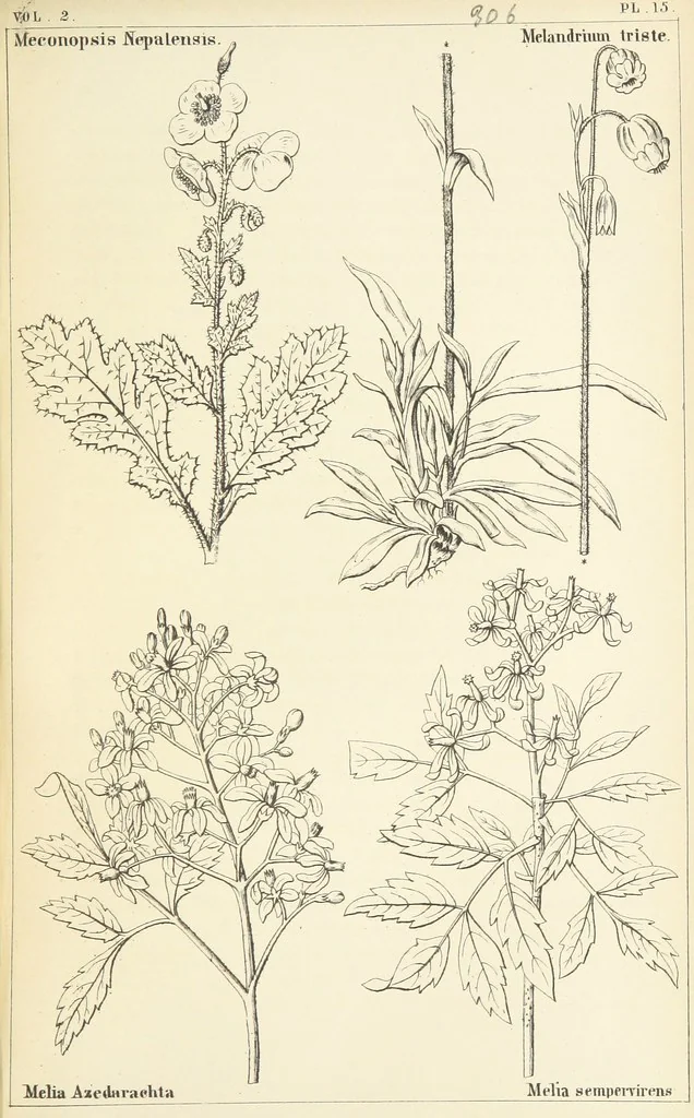 An illustration from Thirty-five years in the East. Adventures, discoveries, experiments, and historical sketches, relating to the Punjab and Cashmere, 1852, leaf 635