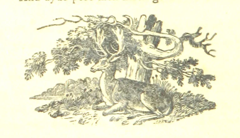 An illustration from Robin Hood; a collection of all the ancient poems, songs, and ballads now extant relative to that ... outlaw. To which are prefixed historical anecdotes of his life. [Edited by J. Ritson. With wood engravings by Thomas Bewick, 1795, leaf 210