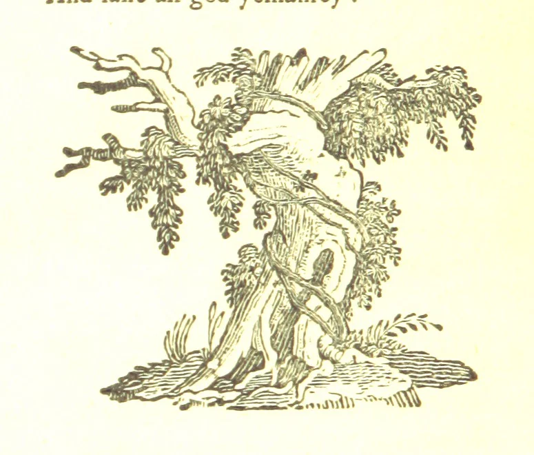 An illustration from Robin Hood; a collection of all the ancient poems, songs, and ballads now extant relative to that ... outlaw. To which are prefixed historical anecdotes of his life. [Edited by J. Ritson. With wood engravings by Thomas Bewick, 1795, leaf 226