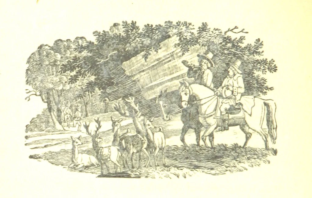 An illustration from Robin Hood; a collection of all the ancient poems, songs, and ballads now extant relative to that ... outlaw. To which are prefixed historical anecdotes of his life. [Edited by J. Ritson. With wood engravings by Thomas Bewick, 1795, leaf 328