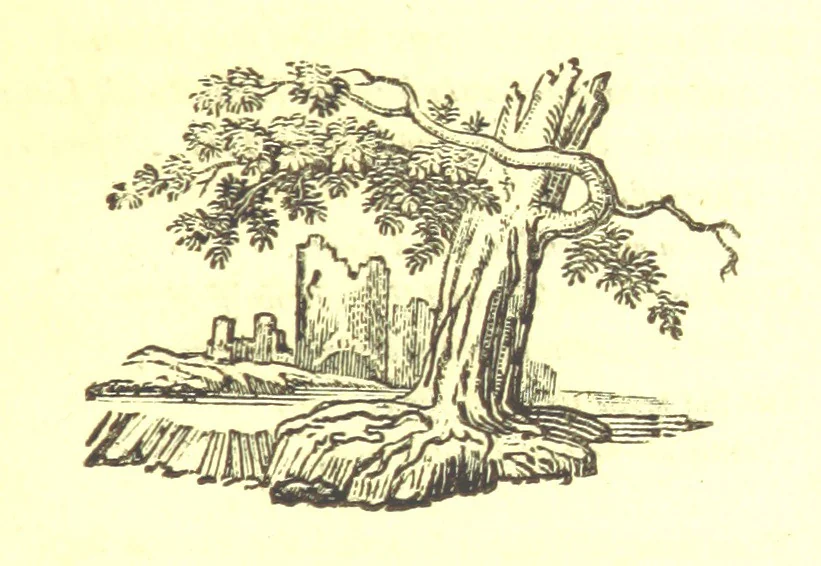 An illustration from Robin Hood; a collection of all the ancient poems, songs, and ballads now extant relative to that ... outlaw. To which are prefixed historical anecdotes of his life. [Edited by J. Ritson. With wood engravings by Thomas Bewick, 1795, leaf 419