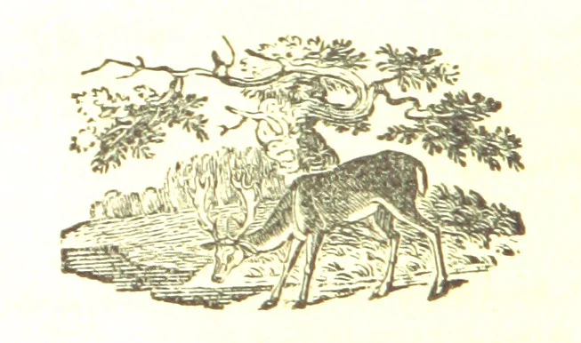 An illustration from Robin Hood; a collection of all the ancient poems, songs, and ballads now extant relative to that ... outlaw. To which are prefixed historical anecdotes of his life. [Edited by J. Ritson. With wood engravings by Thomas Bewick, 1795, leaf 460