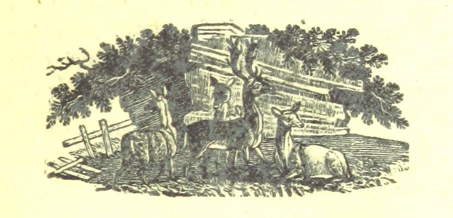 An illustration from Robin Hood; a collection of all the ancient poems, songs, and ballads now extant relative to that ... outlaw. To which are prefixed historical anecdotes of his life. [Edited by J. Ritson. With wood engravings by Thomas Bewick, 1795, leaf 465