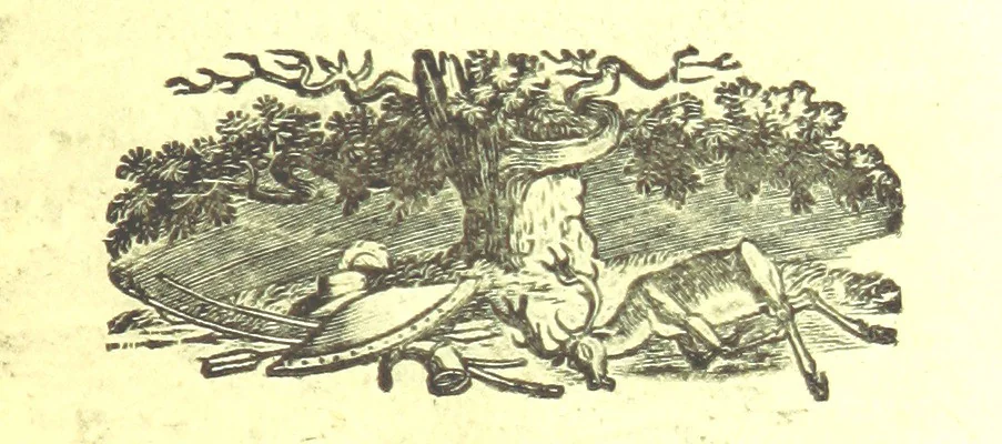 An illustration from Robin Hood; a collection of all the ancient poems, songs, and ballads now extant relative to that ... outlaw. To which are prefixed historical anecdotes of his life. [Edited by J. Ritson. With wood engravings by Thomas Bewick, 1795, leaf 481