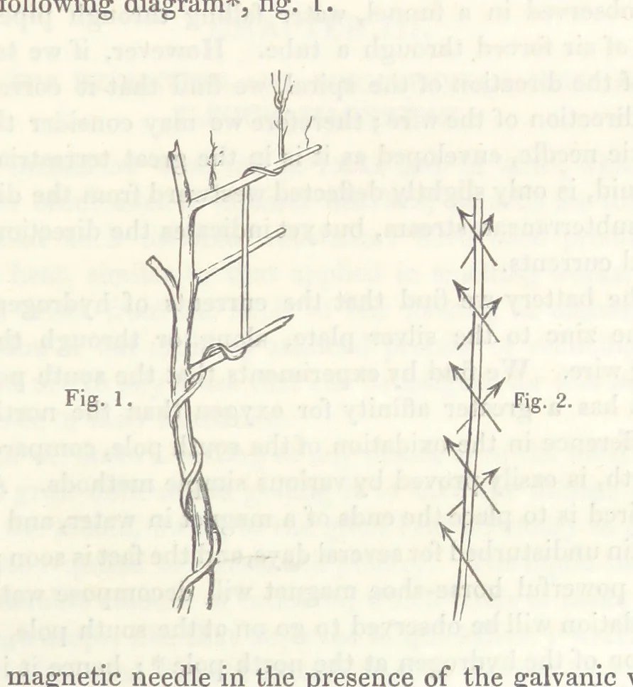 An illustration from Geology and Terrestial Magnetism ... Third edition, with a new and illustrated introduction and appendix, twenty-nine plates, and numerous woodcuts, 1865, leaf 101