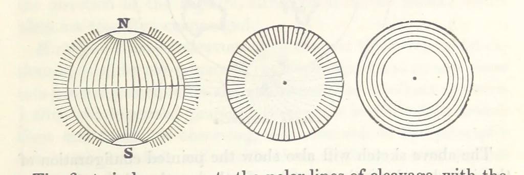 An illustration from Geology and Terrestial Magnetism ... Third edition, with a new and illustrated introduction and appendix, twenty-nine plates, and numerous woodcuts, 1865, leaf 193