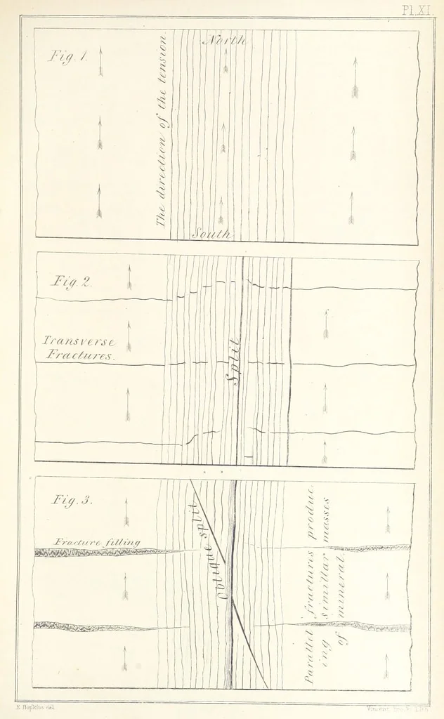 An illustration from Geology and Terrestial Magnetism ... Third edition, with a new and illustrated introduction and appendix, twenty-nine plates, and numerous woodcuts, 1865, leaf 313