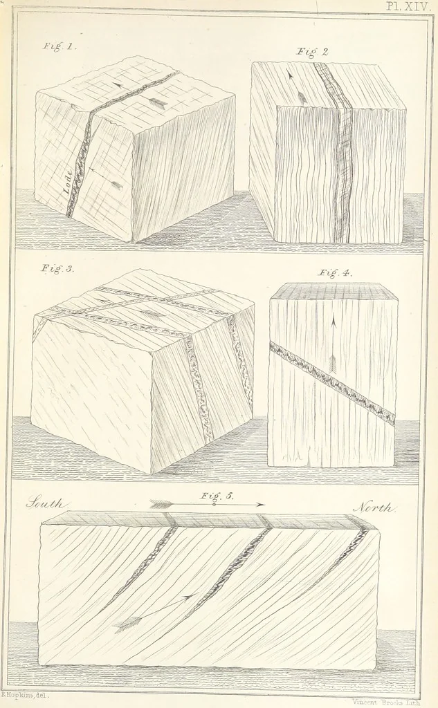 An illustration from Geology and Terrestial Magnetism ... Third edition, with a new and illustrated introduction and appendix, twenty-nine plates, and numerous woodcuts, 1865, leaf 319