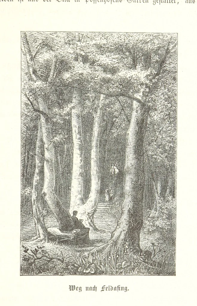 An illustration from Der Starnberger See, Bavaria. Eine Wanderung durch seine Uferorte. Wort und Bild von G. A. H. Holzschnitte von H. Wolf, 1876, leaf 47