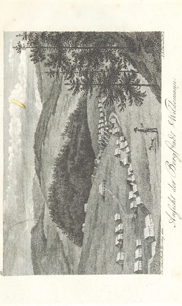 An illustration from Tageblätter unsrer Reise in und um den Harz. Mit 16 ... Zeichnungen, 1805, leaf 51