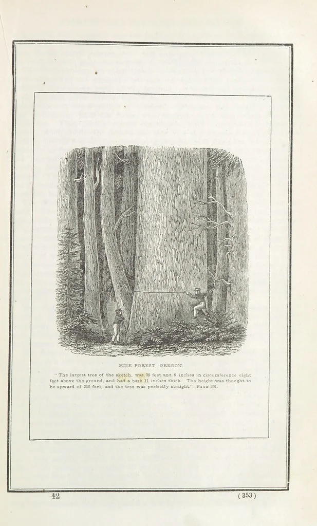 An illustration from Historical Collections of the Great West; containing narrations of the most important ... events in Western History, remarkable individual adventures, sketches of frontier life, descriptions of natural curiosities ... Historical and descriptive sketches of Oregon, New Mexico, Texas, Minnesota, Utah and California, 1851, leaf 359
