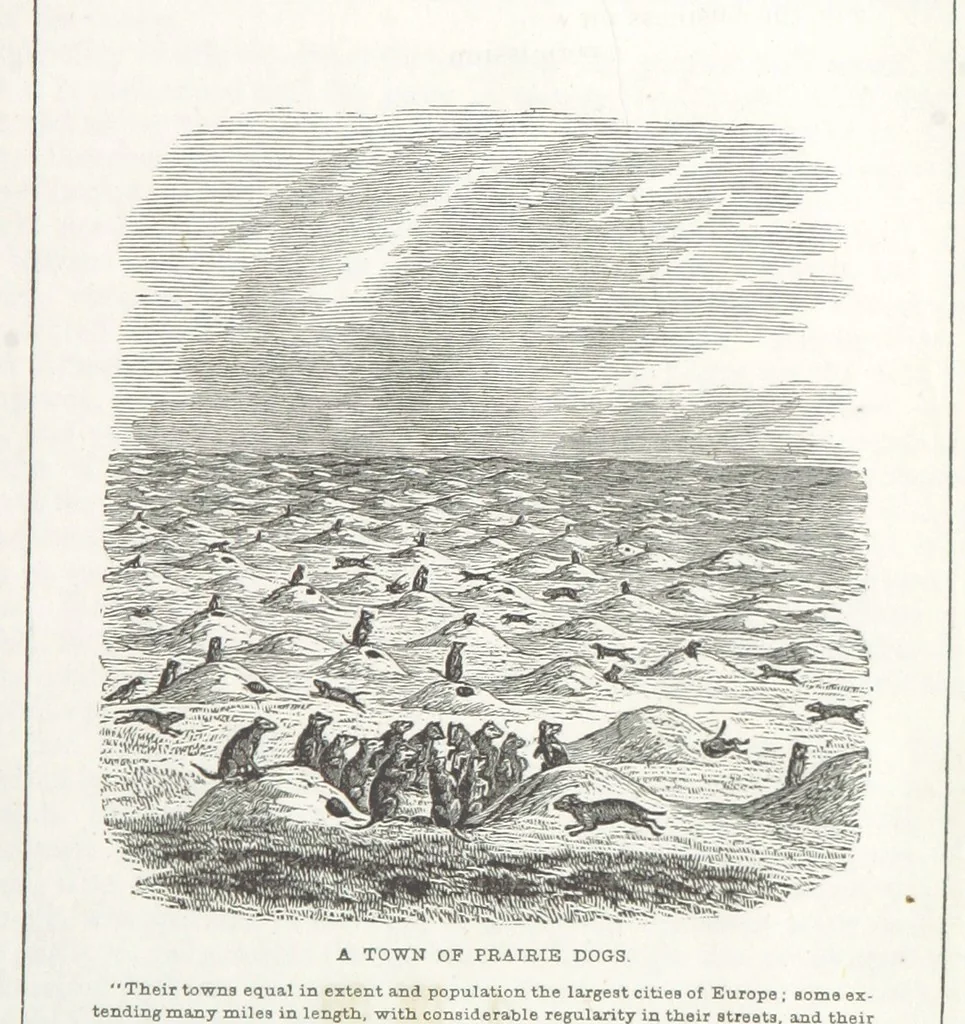 An illustration from Historical Collections of the Great West; containing narrations of the most important ... events in Western History, remarkable individual adventures, sketches of frontier life, descriptions of natural curiosities ... Historical and descriptive sketches of Oregon, New Mexico, Texas, Minnesota, Utah and California, 1851, leaf 79