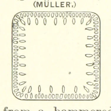 An illustration from The Metallurgy of Steel. Vol. 1, 1890, leaf 168