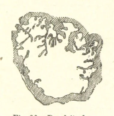 An illustration from The Metallurgy of Steel. Vol. 1, 1890, leaf 170