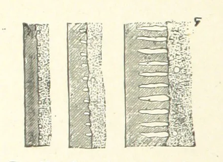 An illustration from The Metallurgy of Steel. Vol. 1, 1890, leaf 170