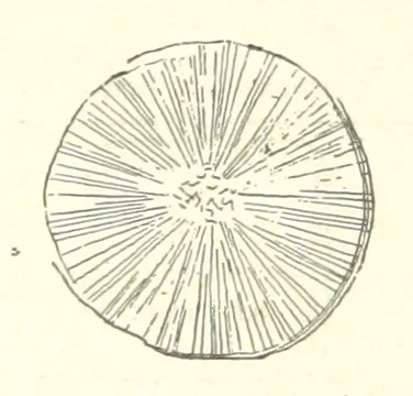 An illustration from The Metallurgy of Steel. Vol. 1, 1890, leaf 170