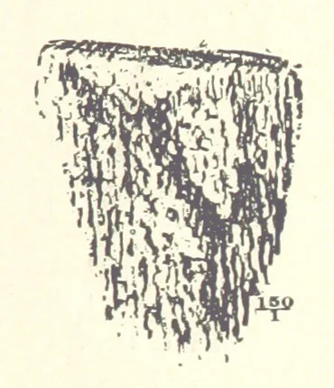 An illustration from The Metallurgy of Steel. Vol. 1, 1890, leaf 215
