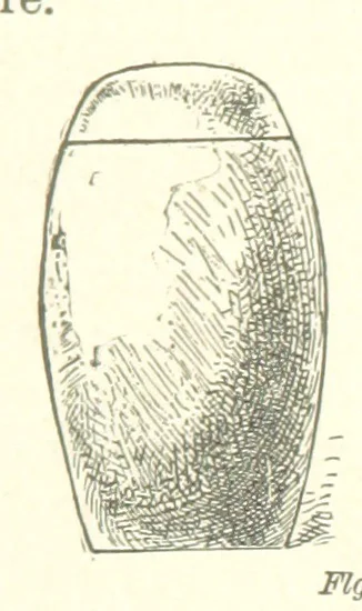 An illustration from The Metallurgy of Steel. Vol. 1, 1890, leaf 322