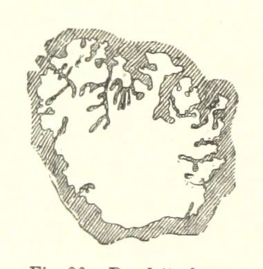 An illustration from The Metallurgy of Steel. ... Second edition ... enlarged. Vol. 1, 1891, leaf 172