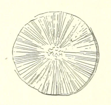 An illustration from The Metallurgy of Steel. ... Second edition ... enlarged. Vol. 1, 1891, leaf 172