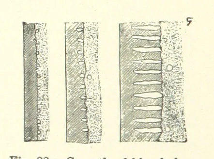 An illustration from The Metallurgy of Steel. ... Second edition ... enlarged. Vol. 1, 1891, leaf 172