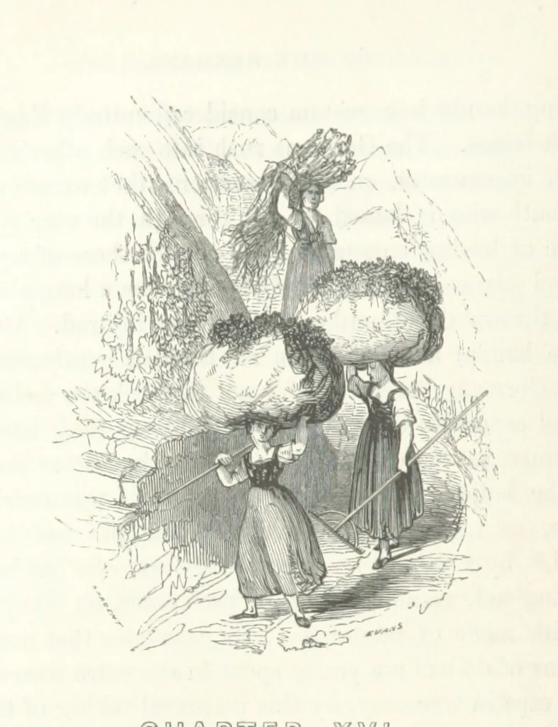 An illustration from The rural and domestic life of Germany, with characteristic sketches of its cities and scenery, collected in a general tour, and during a residence in the country in 1840, 41 and 42, 1842, leaf 230