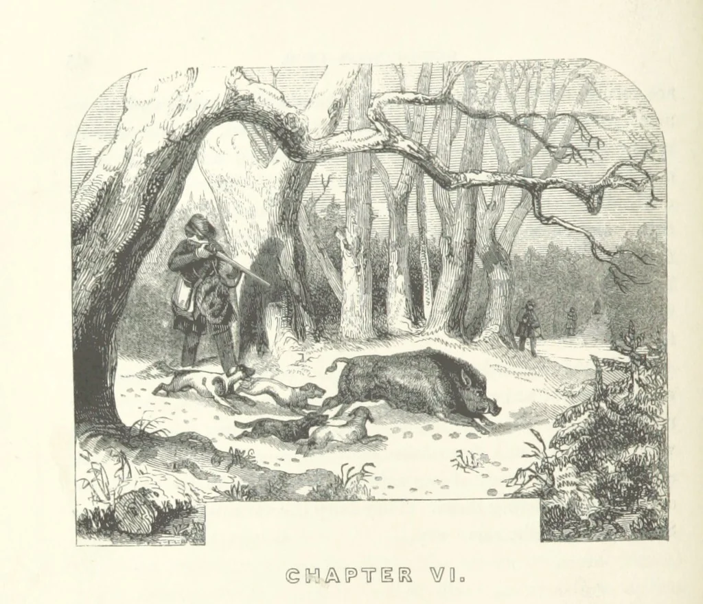 An illustration from The rural and domestic life of Germany, with characteristic sketches of its cities and scenery, collected in a general tour, and during a residence in the country in 1840, 41 and 42, 1842, leaf 82