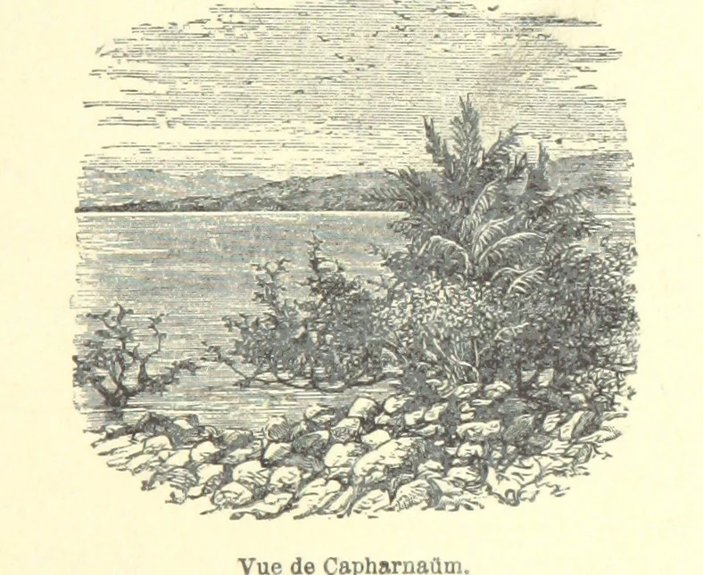An illustration from De Paris à Jérusalem; impressions & souvenirs du VIme. Pélerinage de Pénitence, 1888, leaf 103