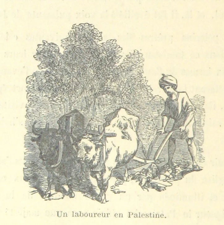An illustration from De Paris à Jérusalem; impressions & souvenirs du VIme. Pélerinage de Pénitence, 1888, leaf 210