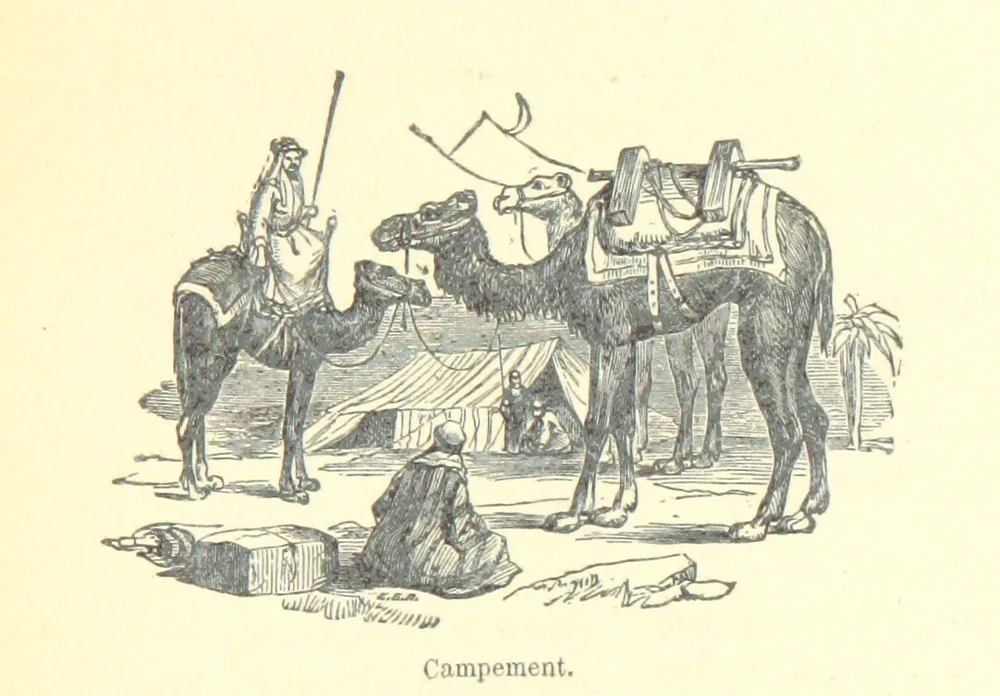 An illustration from De Paris à Jérusalem; impressions & souvenirs du VIme. Pélerinage de Pénitence, 1888, leaf 319