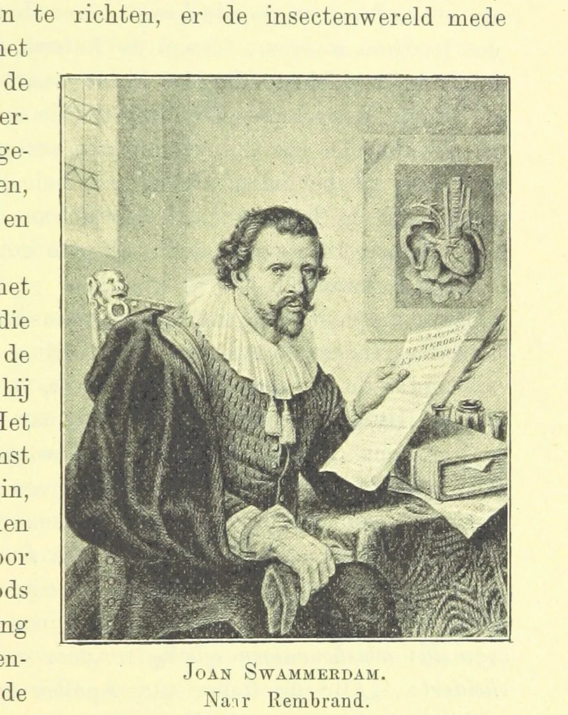 An illustration from Het Land van Rembrand. Studien over de Noordnederlandsche beschaving in de zeventiende eeuw ... Derde druk, geïllustreerd onder toezicht van J. H. W. Unger, 1898, leaf 49