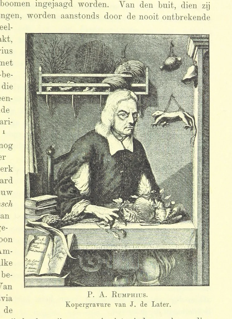 An illustration from Het Land van Rembrand. Studien over de Noordnederlandsche beschaving in de zeventiende eeuw ... Derde druk, geïllustreerd onder toezicht van J. H. W. Unger, 1898, leaf 75