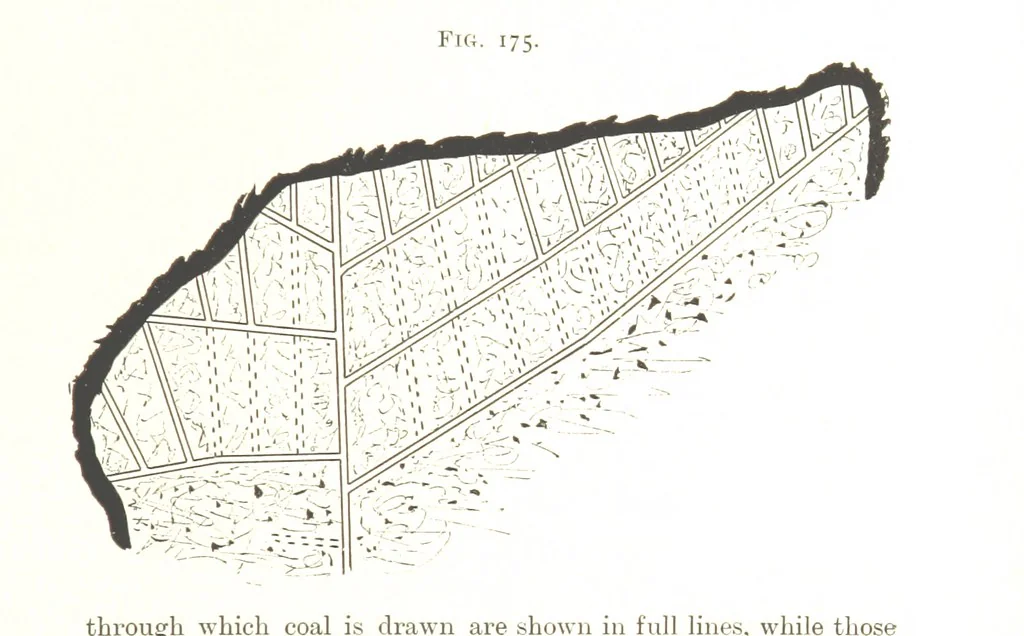 An illustration from A Text-book of Coal-Mining ... With ... illustrations, 1892, leaf 177